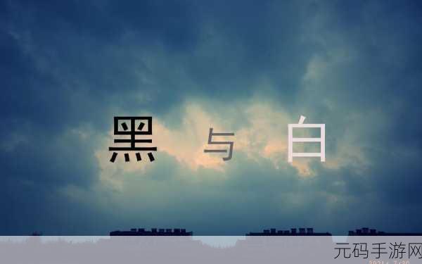 THEWHITEBOX精选黑与白，黑与白的交响曲：色彩中的哲学思考