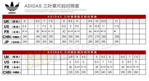 三叶草亚洲码和欧洲码区别入口，深入了解三叶草亚洲码与欧洲码的差异解析