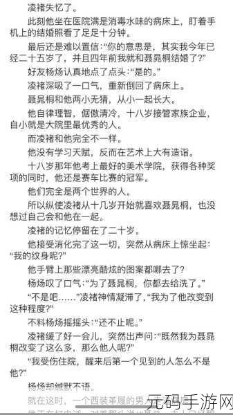 车速很高的R文双男，以下是一些基于“车速很高的R文双男”主题的新