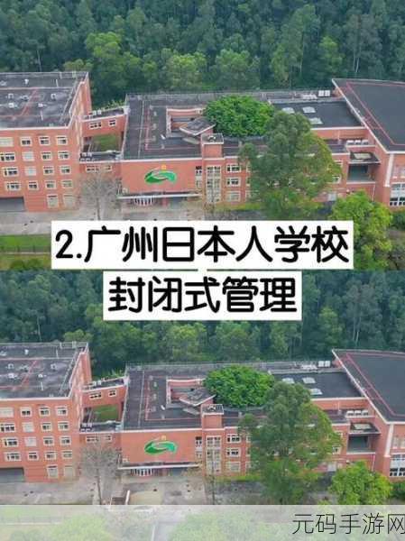 游戏开发-日本大一大二大三在一起读吗，1. 游戏开发的奇妙旅程：日本大学生的三年冒险