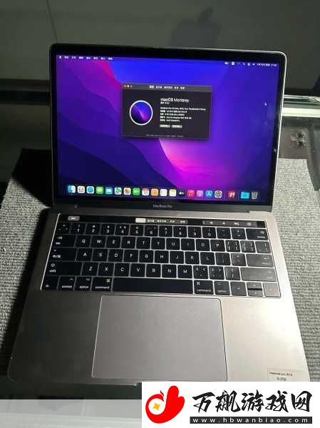 欧美MACBOOKPRO高清：1.-＂全新欧美MacBook-Pro：极致高清显示与强大性能结合