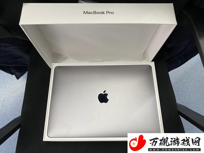 18岁MACbook-纯品还是仿冒-网友热议-新风尚下的幽默解读