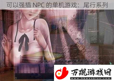 可以强插NPC的单机游戏：尾行系列