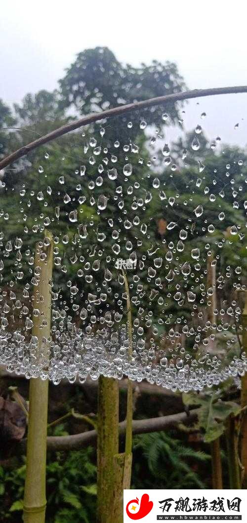 ツユ-やっぱり雨は降るんだね——雨终究会落下呀