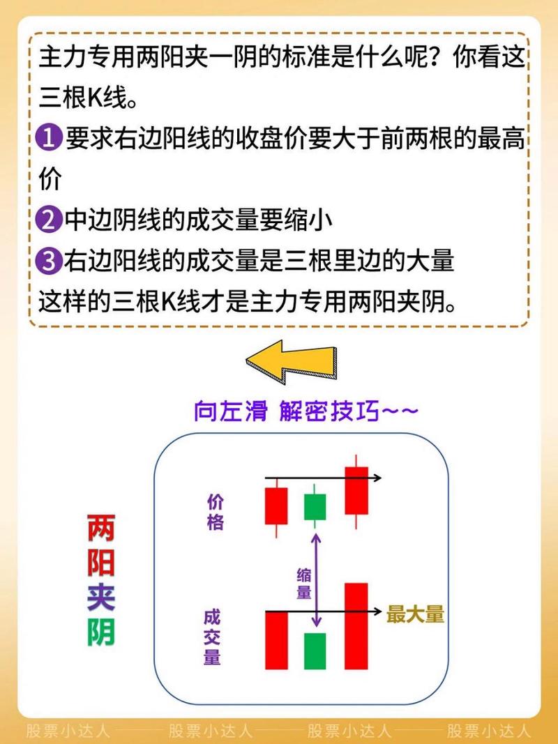 解密“两阳夹两阳”的奥秘与魅力