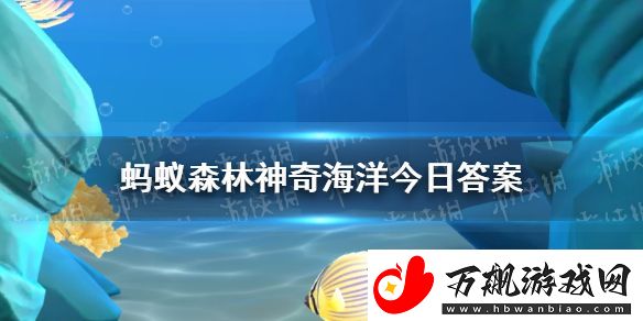 可爱的海兔是以下哪种动物的亲戚-神奇海洋12月14日答案