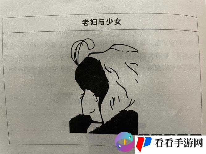 阿老妇乱：一场引人深思的事件