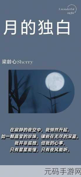 小猪草莓丝瓜深夜释放自己歌词探索，深夜独白：灵魂的释放与探索