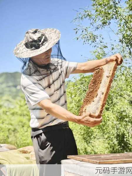 他的舌头探入蜜源毛毛虫说说，1. 蜜源探寻：舌头的奇妙旅程