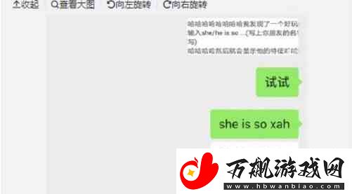 微信she-is-so什么梗推荐