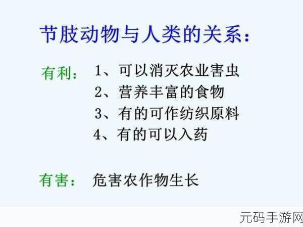 人与动物ppt免费模板，1. 人与动物的和谐共生关系探讨