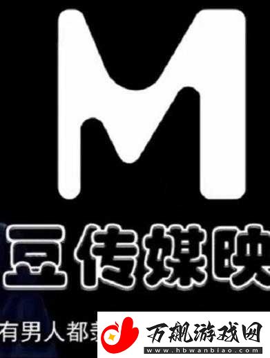 麻花传媒-MV-一二三区别在哪里之详细分析与全面解读