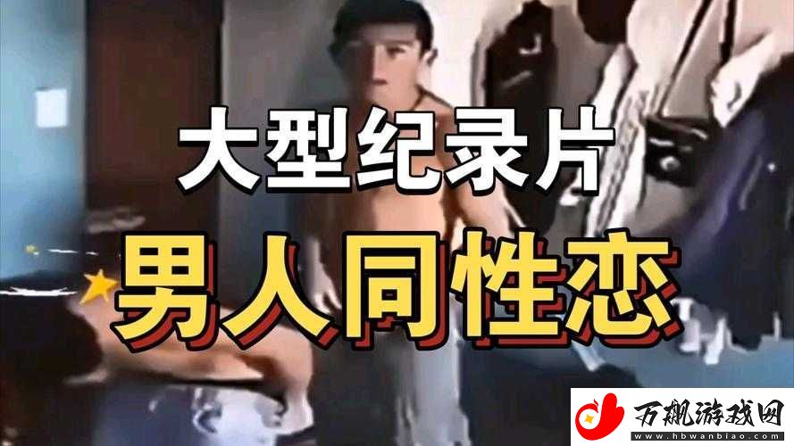 CHINESE-国产男男-GAY-片：独特视角下的别样魅力呈现