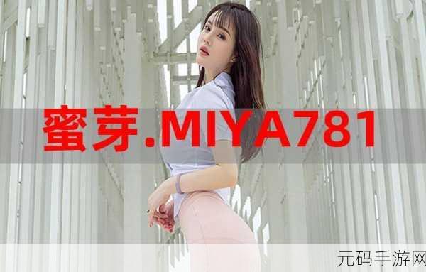 MIYA1173跳转接口技术解析，深入解析MIYA1173跳转接口技术及其应用