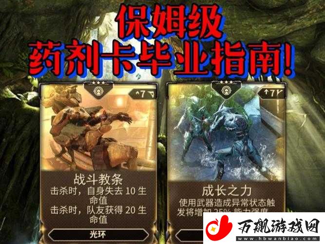 Warframe游戏特殊药剂全面解析及星际战甲落银树庭药剂详细用法