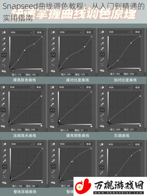 Snapseed曲线调色教程：从入门到精通的实用指南