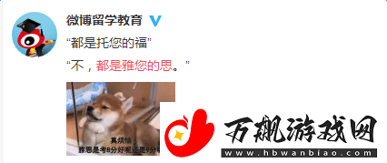 雅您的思是什么意思