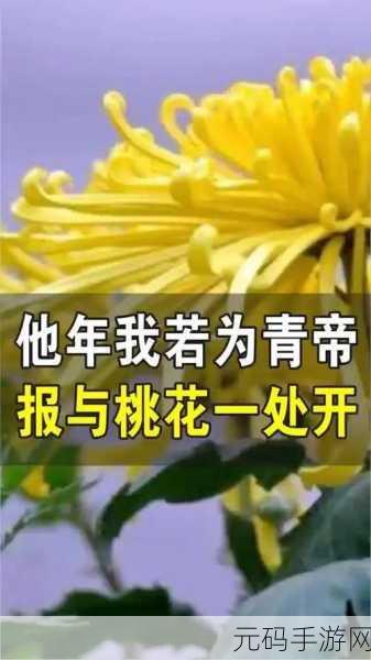 答错一题菊花放一支笔温客行，温客行：答错一题的菊花与笔记人生