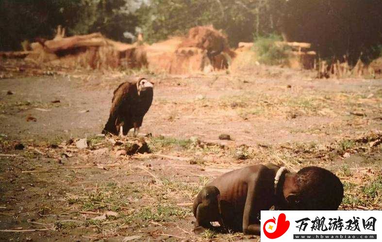 非洲女人与禽-20-岁配的荒诞现实