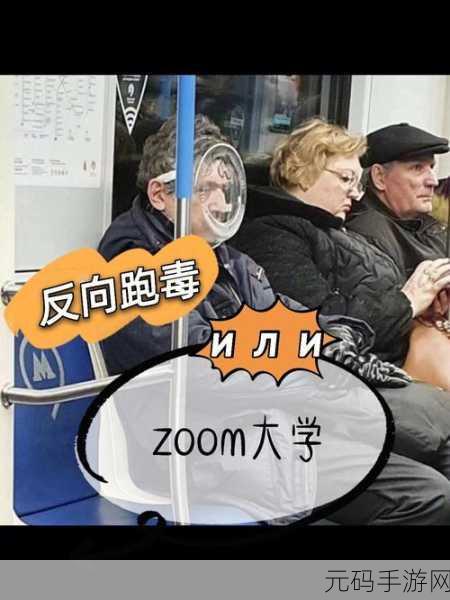 Zoom与人性Zoom的区别惨遭无视，探讨Zoom与人性化沟通的本质区别及其影响