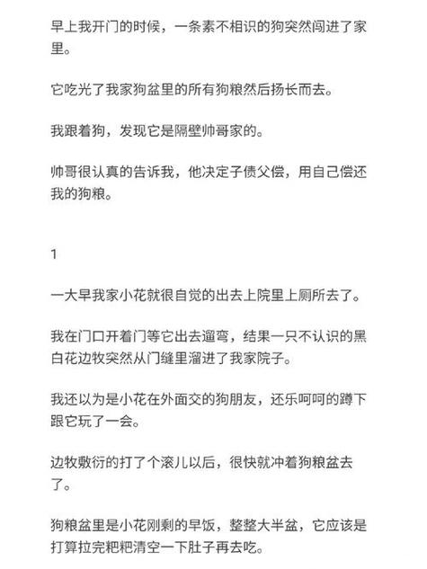 混乱小镇售票员用B检票TXT