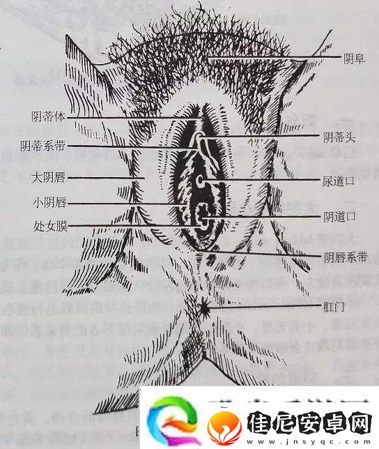 内容丰富大荫蒂BBBBBB大荫蒂-点亮未来之路