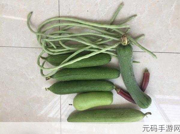 丝瓜秋葵草莓香蕉榴莲绿大全，丝瓜与秋葵的美味食谱分享