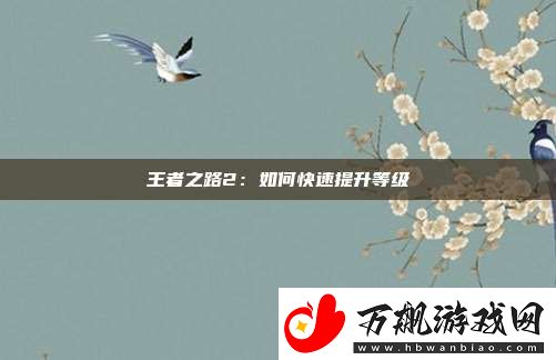 王者之路2：如何快速提升等级