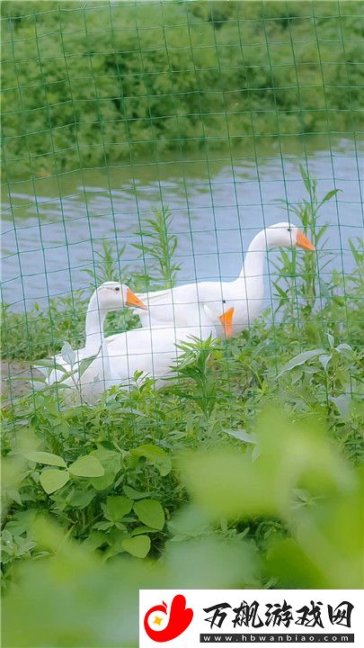 微信农场背景图片汇总大全