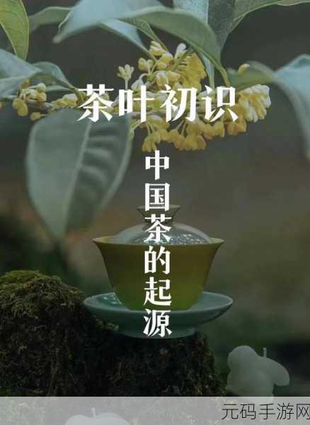 小鸡宝宝智慧问答，揭秘古人喝茶的奥秘