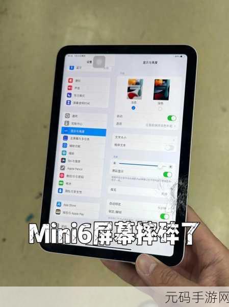 如何确保mini6的秘密入口安全，如何保护mini6秘密入口的安全性和隐私