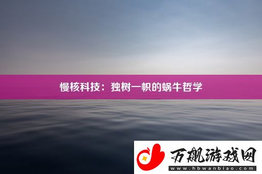 慢核科技：独树一帜的蜗牛哲学