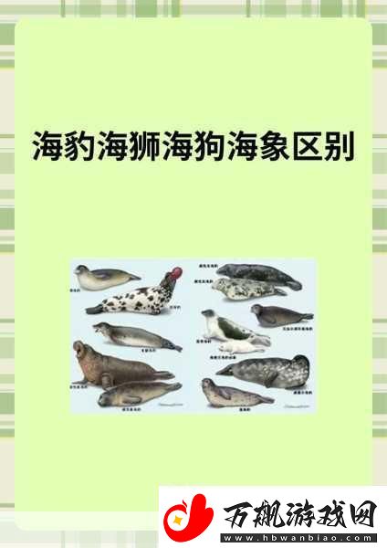 AAAA级毛皮最火的一句透露了中文社区开放信息深度解析AAAA级毛皮在中文社区的热潮与趋势