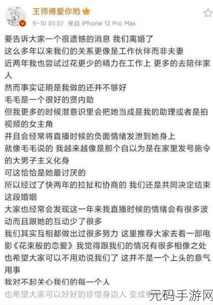 炉石传说主播王师傅离婚风波，与毛毛的婚姻走到尽头