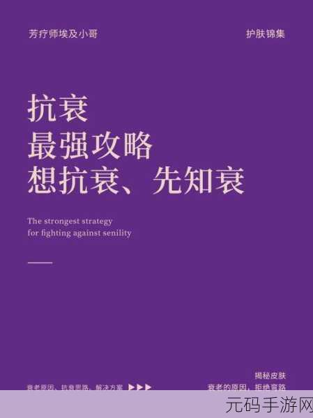 地铁2033深度探索，终极攻略秘籍大揭秘