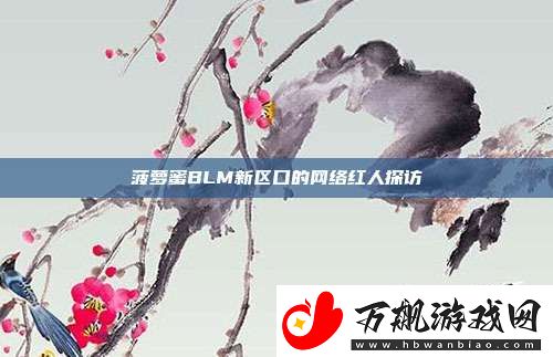 菠萝蜜BLM新区口的络红人探访