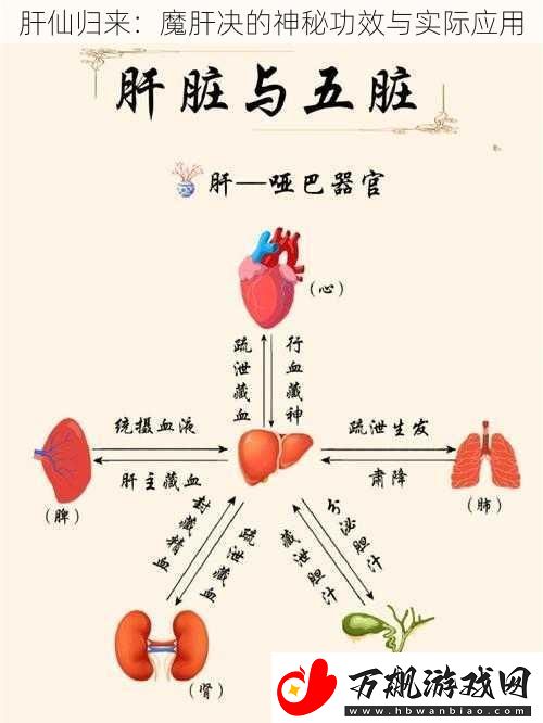 肝仙归来：魔肝决的神秘功效与实际应用