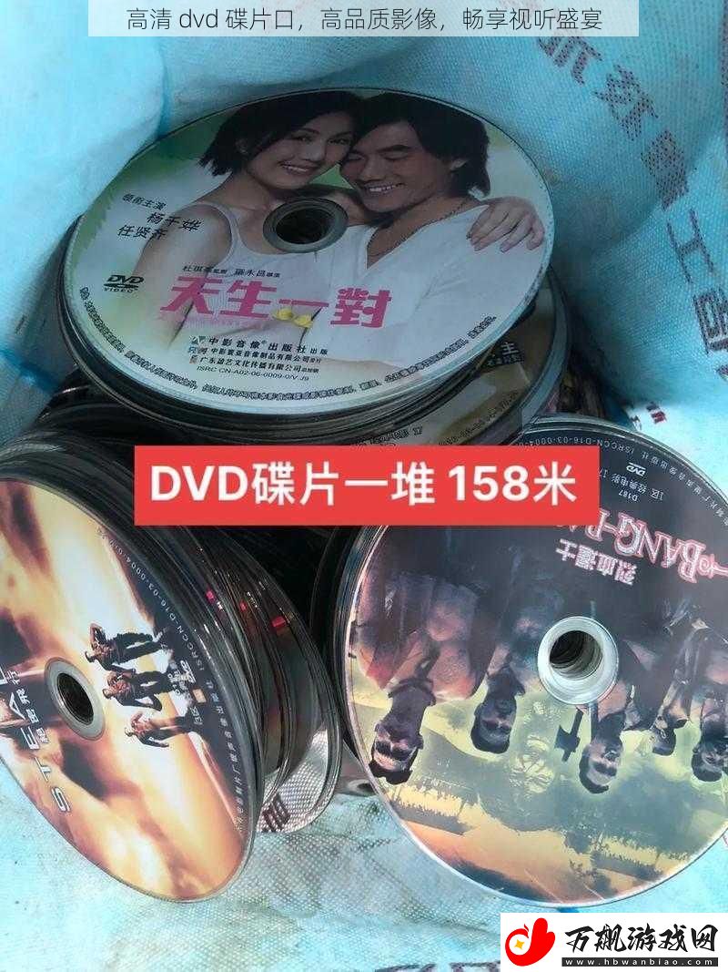 高清-dvd-碟片口-高品质影像-畅享视听盛宴