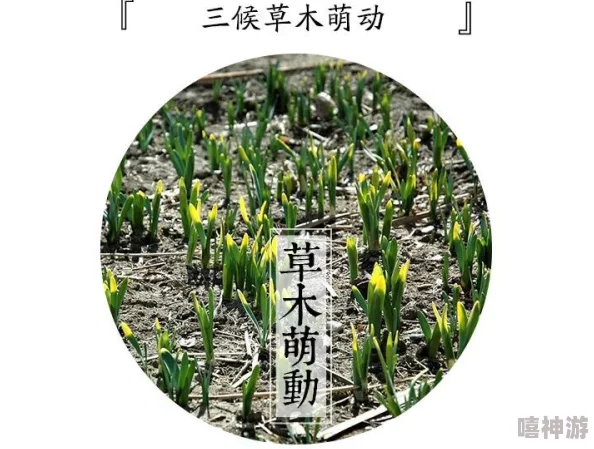 嫩草影视传媒公司在新项目开发上取得显著进展-计划推出多部原创影视作品以丰富市场内容