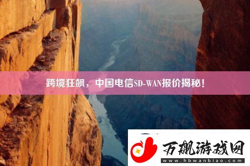 跨境狂飙中国电信SDWAN报价揭秘！