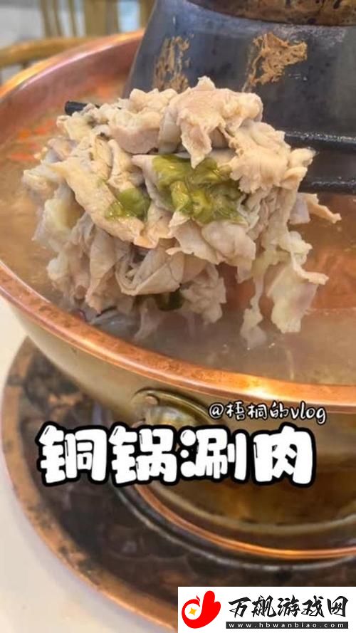 锅锅酱vlog在线观看：探寻生活中的乐趣与真实