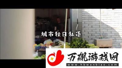 老镖客城中村扫街83939：探索城市角落的神秘故事