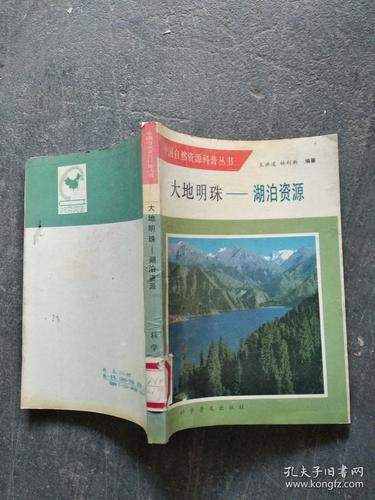 探索“大地资源二中文免费第二页”的丰富内容