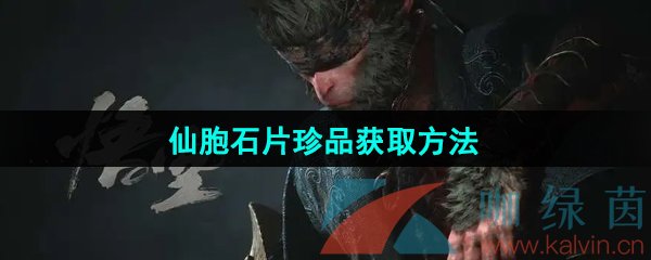 黑神话悟空仙胞石片珍品怎么获得-仙胞石片珍品获取方法