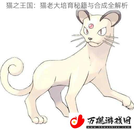 猫之王国