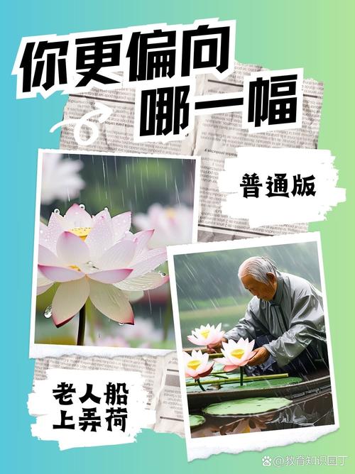 《老人船上弄雨荷》第13集剧情解析上线，网友：情感纠葛引发观众共鸣