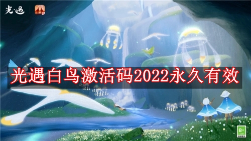 光遇白鸟激活码2022有哪些 光遇白鸟激活码2022永久有效