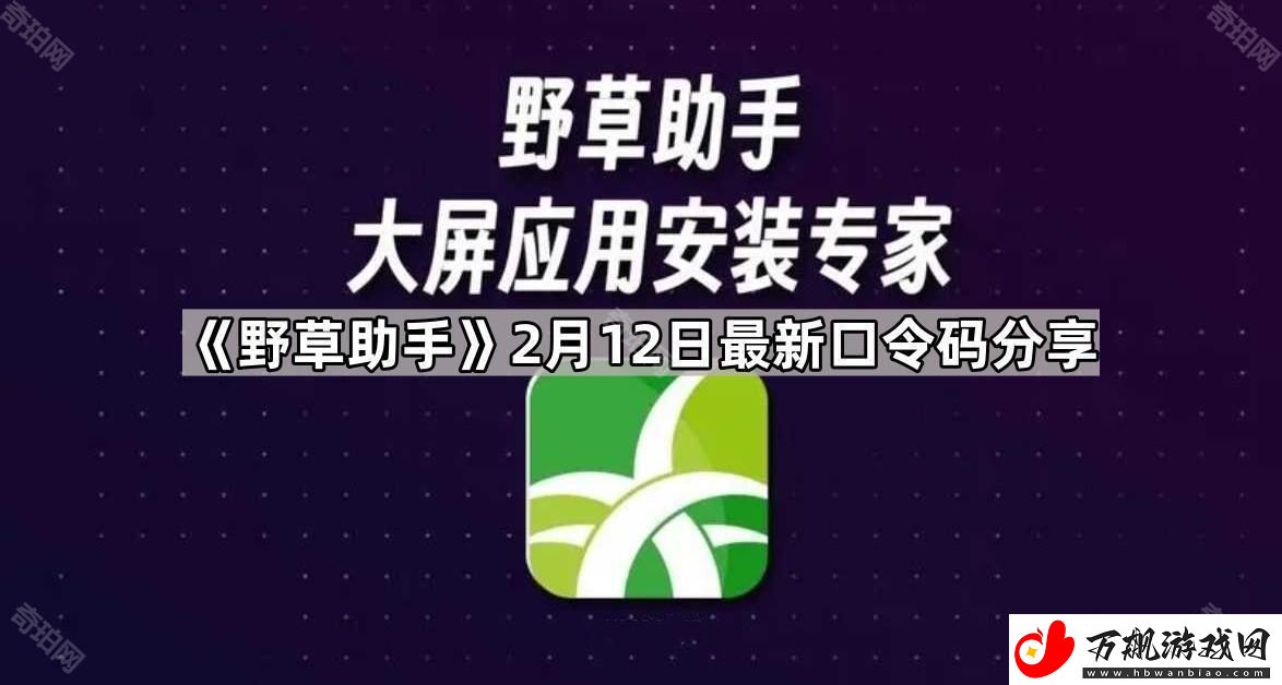 野草助手2.12最新视频口令是什么