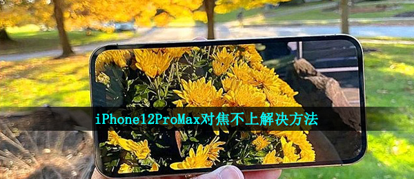 iPhone12ProMax对焦不上是怎么回事-iPhone12ProMax对焦不上解决方法