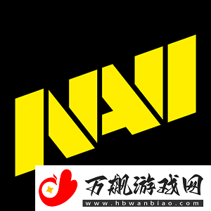 NAVI终结Spirit自上海Major以来的12连胜纪录